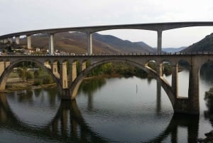 Kleine Gruppe: Weinverkostung im Douro-Tal von Porto aus
