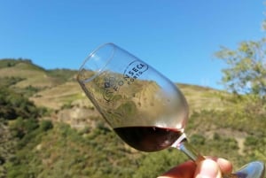 Kleine Gruppe: Weinverkostung im Douro-Tal von Porto aus