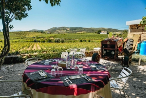 Douro Valley: Wine Tour with Lunch, Tastings & River Cruise