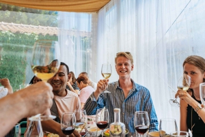Douro Valley: Wine Tour with Lunch, Tastings & River Cruise