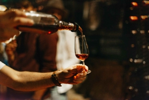 Douro Valley: Wine Tour with Lunch, Tastings & River Cruise