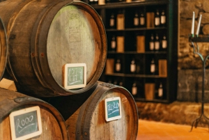 Douro Valley: Wine Tour with Lunch, Tastings & River Cruise