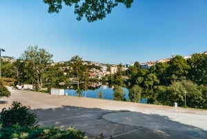 Douro Valley: Wine Tour with Lunch, Tastings & River Cruise