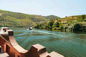 Douro Valley: Wine Tour with Lunch, Tastings & River Cruise