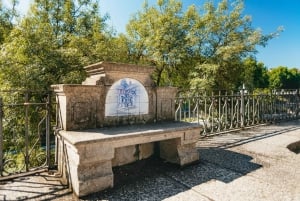 Douro Valley: Wine Tour with Lunch, Tastings & River Cruise
