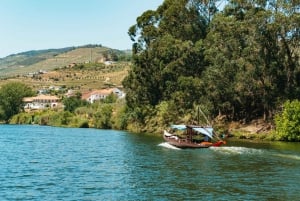 Douro Valley: Wine Tour with Lunch, Tastings & River Cruise