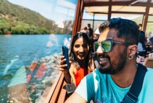 Douro Valley: Wine Tour with Lunch, Tastings & River Cruise