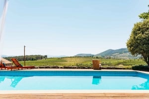 Douro Valley: Wine Tour with Lunch, Tastings & River Cruise