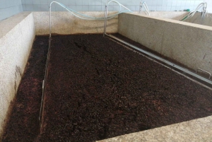 Vintur i Douro-dalen med traditionel frokost