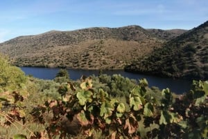 Vintur i Douro-dalen med traditionel frokost