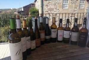 Vintur i Douro-dalen med traditionel frokost