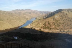 Vintur i Douro-dalen med traditionel frokost