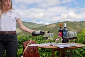 Dourodalen: Rundvisning på Quinta do Tedo og smagsprøver