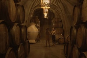 Dourodalen: Rundvisning på Quinta do Tedo og smagsprøver