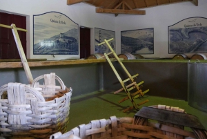 Dourodalen: Rundvisning på Quinta do Tedo og smagsprøver