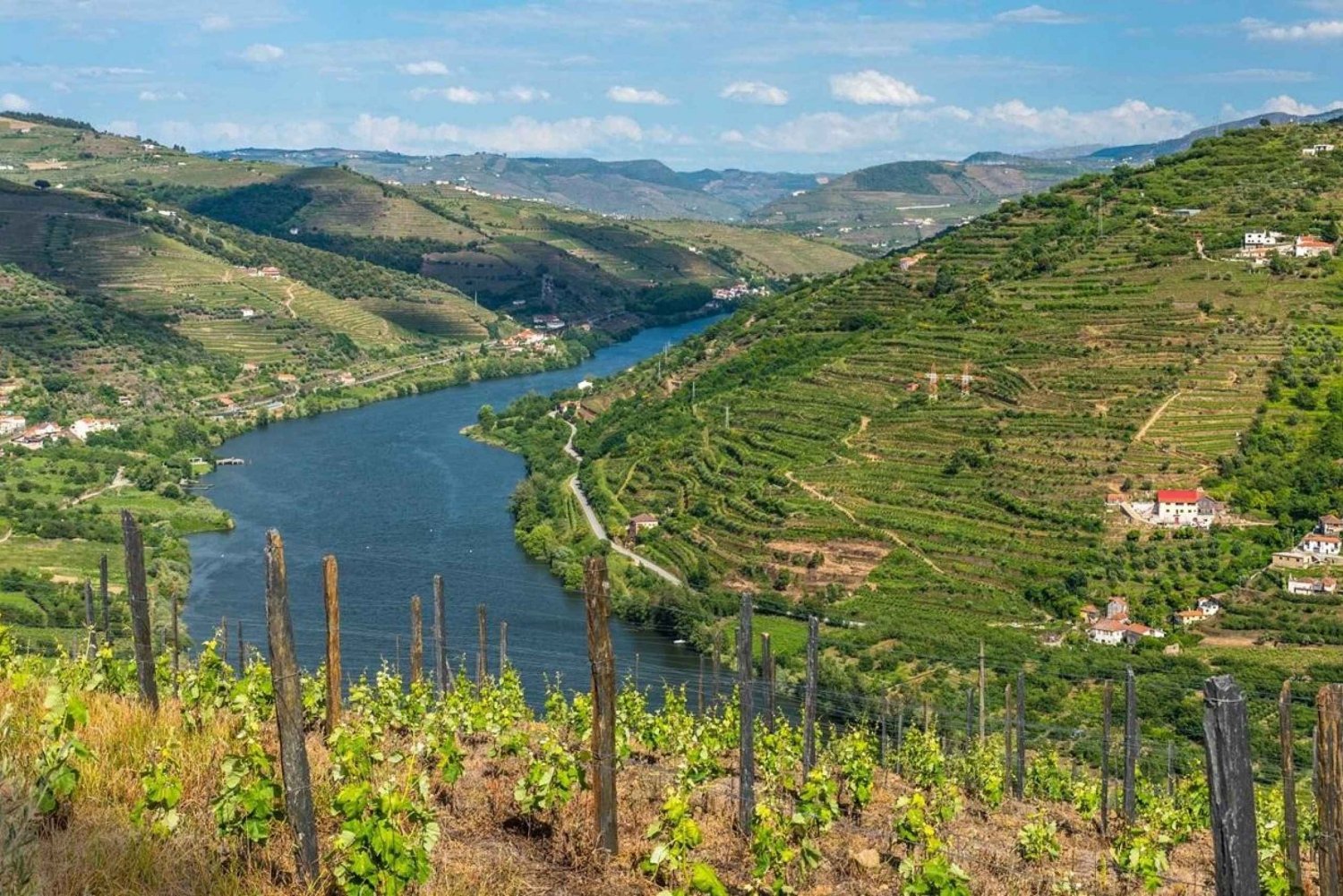 Douro: Degustazione di vini e crociera sul fiume