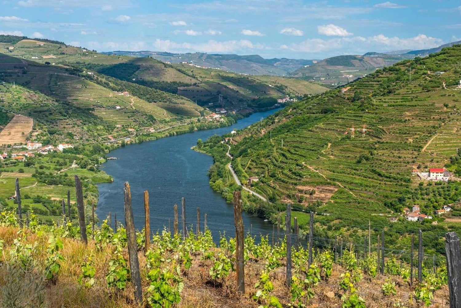 Douro: Vinsmaking og elvecruiseopplevelse