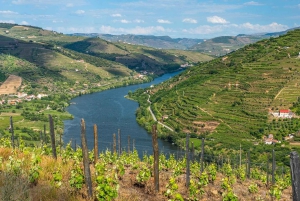 Douro: Vinsmaking og elvecruiseopplevelse