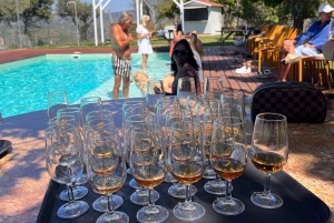 Douro: Vinsmaking og elvecruiseopplevelse