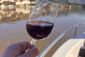 Douro: Vinsmaking og elvecruiseopplevelse