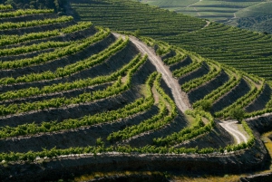 Douro: Vinsmaking og elvecruiseopplevelse