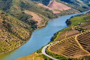 Douro: Vinsmaking og elvecruiseopplevelse