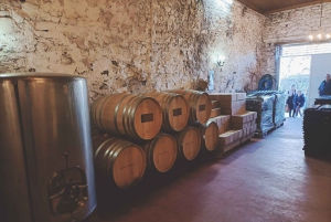 Douro: Vinsmaking og elvecruiseopplevelse