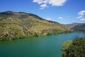 Douro: Vinsmaking og elvecruiseopplevelse