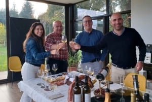 Eksklusiv Vinho Verde-oplevelse (grøn vin) og frokost