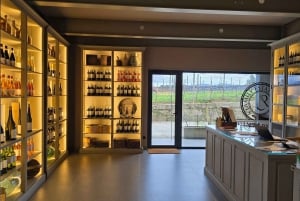 Eksklusiv Vinho Verde-oplevelse (grøn vin) og frokost