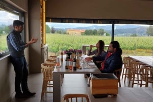 Eksklusiv Vinho Verde-oplevelse (grøn vin) og frokost