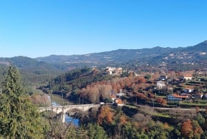 Eksklusiv Vinho Verde-oplevelse (grøn vin) og frokost