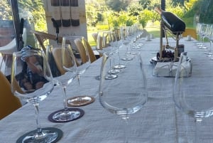 Eksklusiv Vinho Verde-oplevelse (grøn vin) og frokost