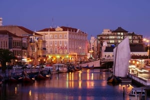 Visite de la ville d'Aveiro : excursion privée avec billets inclus.