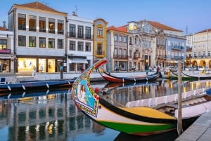 Visite de la ville d'Aveiro : excursion privée avec billets inclus.