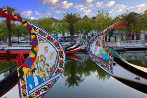 Visite de la ville d'Aveiro : excursion privée avec billets inclus.