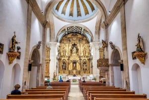 Visite de la ville d'Aveiro : excursion privée avec billets inclus.