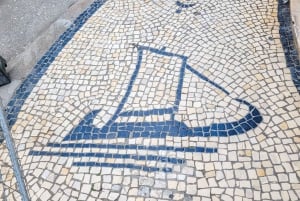 Visite de la ville d'Aveiro : excursion privée avec billets inclus.