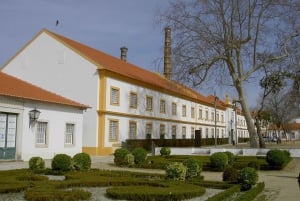 Visite de la ville d'Aveiro : excursion privée avec billets inclus.