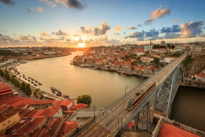 Однодневная поездка в Фатиму и Порту с местным экскурсоводом (небольшая группа)