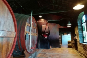 Fátima: Tour privado de Oporto