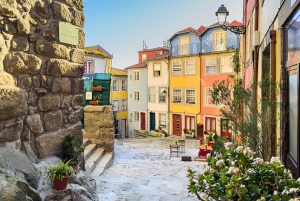Pierwsza rzecz do zrobienia w Porto, Poznaj Porto – prywatna wycieczka piesza.