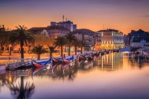 Da Coimbra: Porto, Aveiro e Douro in privato con degustazione e crociera