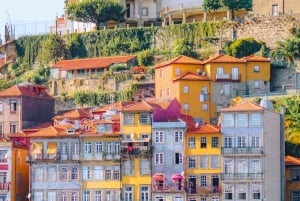 Da Coimbra: Porto, Aveiro e Douro in privato con degustazione e crociera