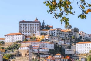Da Coimbra: Porto, Aveiro e Douro in privato con degustazione e crociera