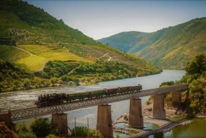 Da Coimbra: Porto, Aveiro e Douro in privato con degustazione e crociera