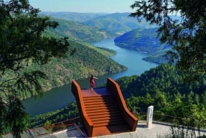 Da Coimbra: Porto, Aveiro e Douro in privato con degustazione e crociera