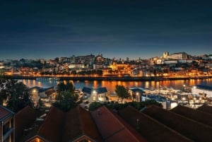 Da Coimbra: Porto, Aveiro e Douro in privato con degustazione e crociera