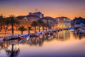 Da Coimbra: Porto, Aveiro e Douro in privato con degustazione e crociera