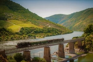 Da Coimbra: Porto, Aveiro e Douro in privato con degustazione e crociera